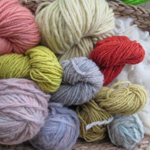 hanks of wool yarn showing the colours achieved iwth natural dyes