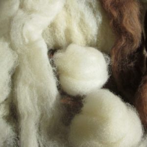 Different Types of Processed Fibre