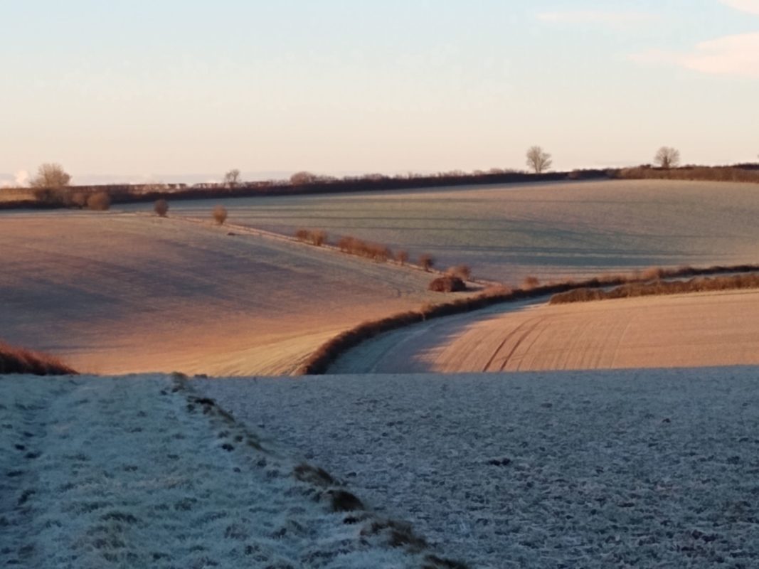 A Dorset Year - February Frost