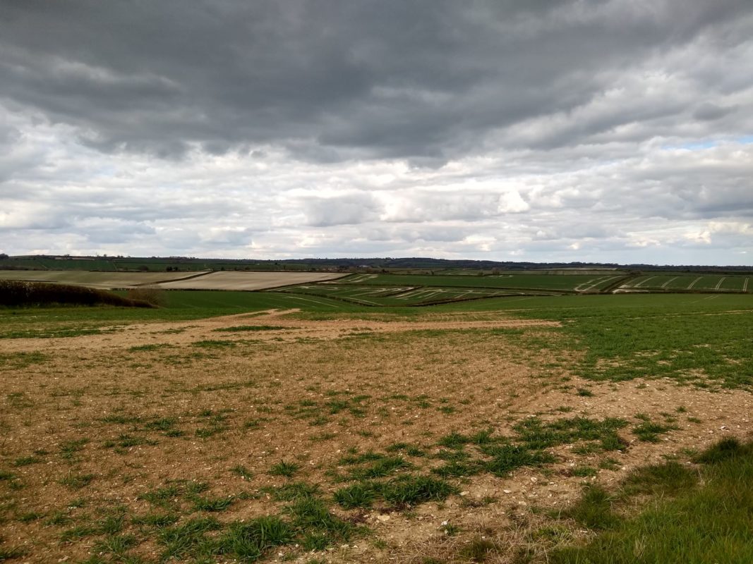 Land as Dry as a Bone