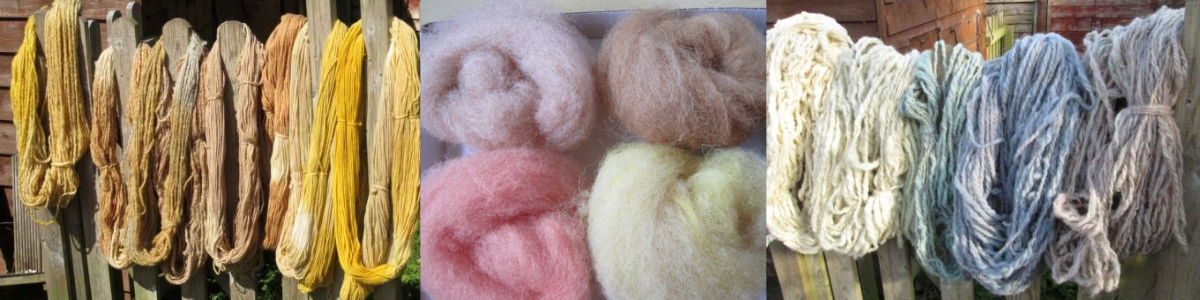Wool Processing and Natural Dyeing Workshops