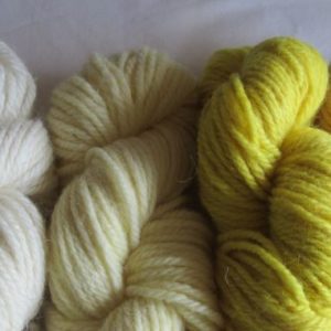 Shetland Aran weld yellows and apricot