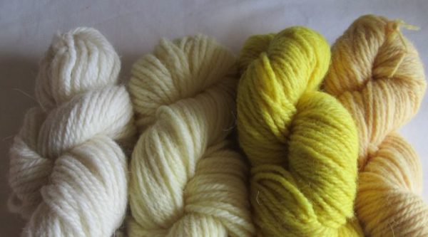 Shetland Aran weld yellows and apricot