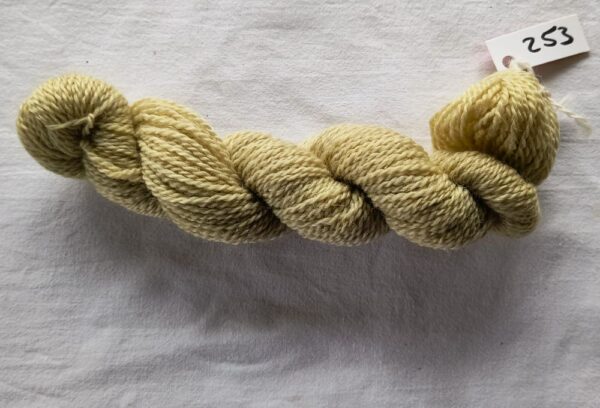 twisted skein of pale olive yarn on a white background.