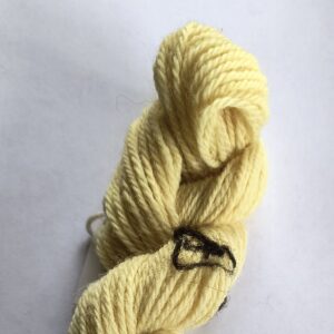 Pale yellow wool yarn skein on a white background