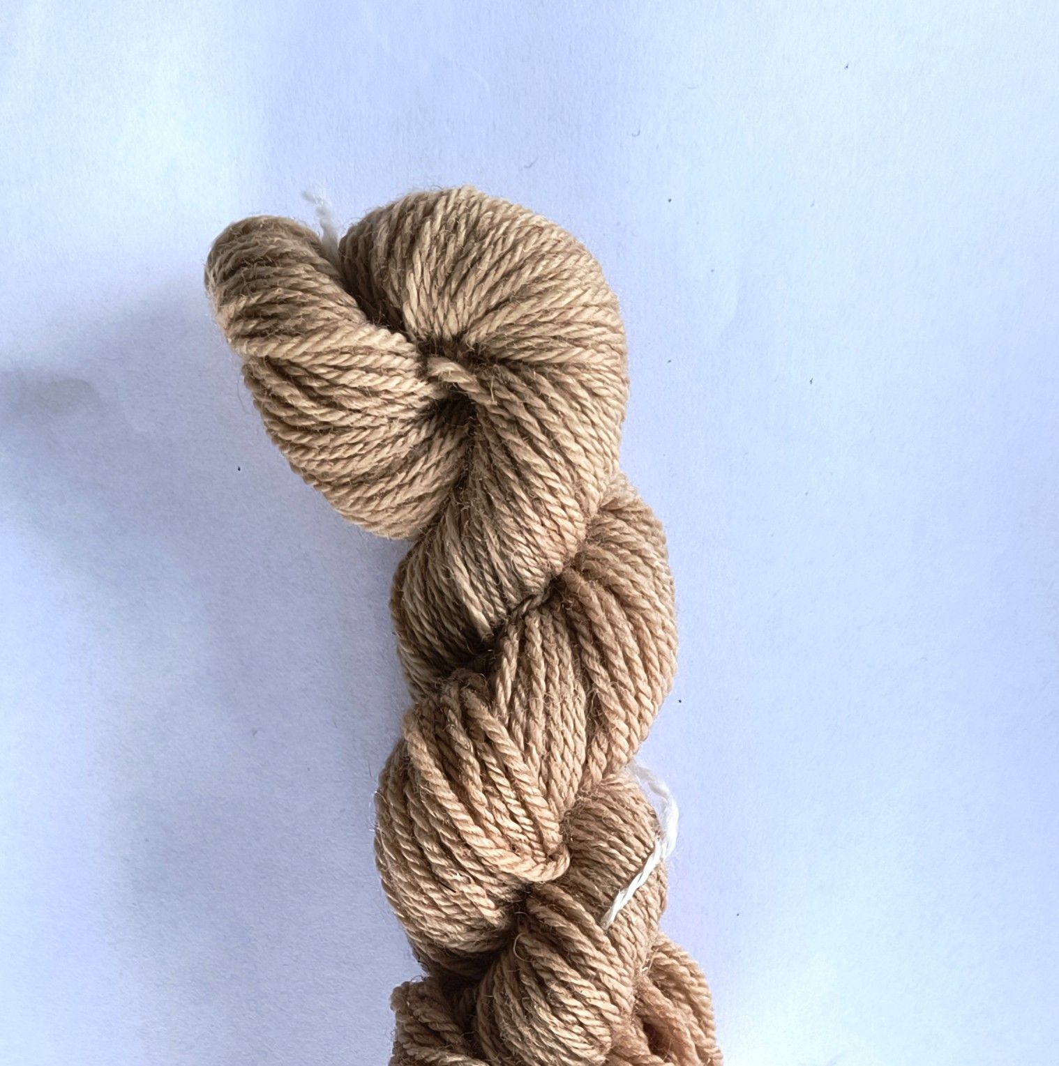 Skein of fawn yarn on a white background